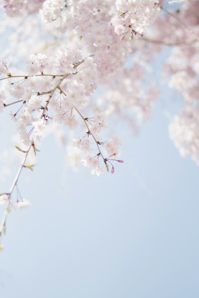 Wedding RSVP Deadline Wording: 7 Examples That Get Replies